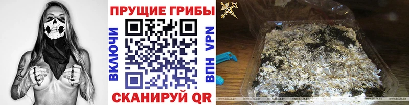 наркота  Курильск  Галлюциногенные грибы ЛСД 